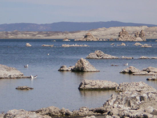Salzskulpturen im Mono Lake