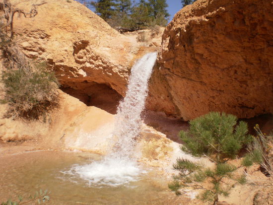 Den Wasserfall auf unserem Spaziergang....