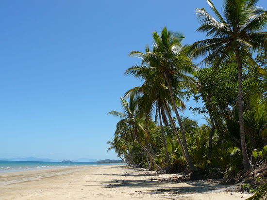 Palmen gesäumter Strand...