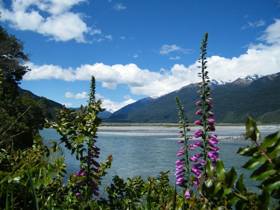 wunderschönes Neuseeland