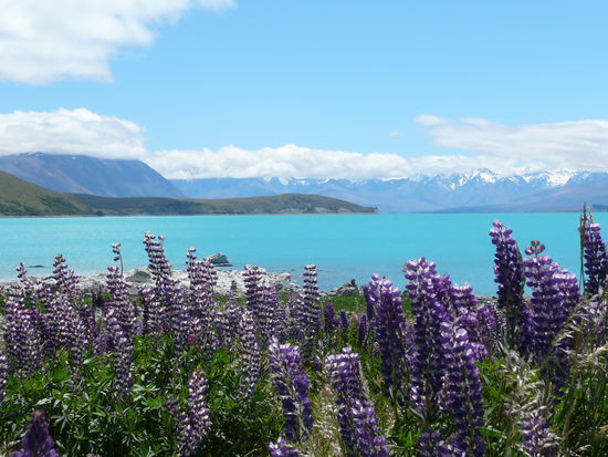 Lake Tekapo