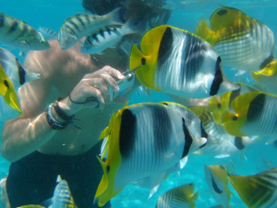 mittendrin statt nur dabei!