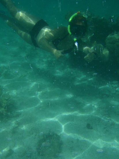 Kathi beim Abtauchen zu einer Riesenmuschel