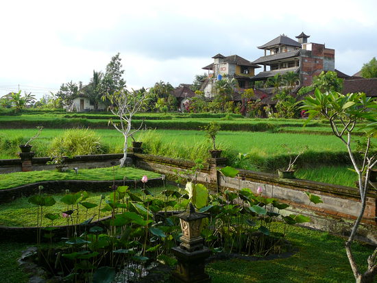 Blick auf Reisterrasse von unserem Garten aus
