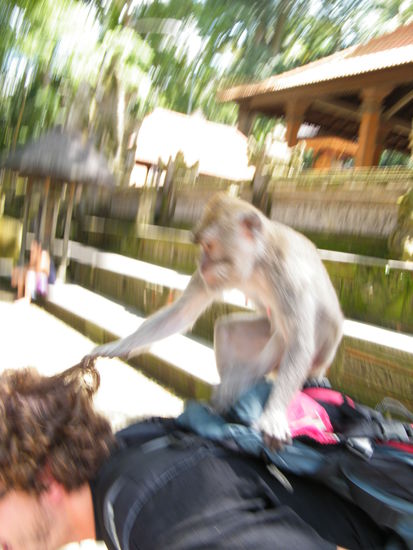 können auch ungemütlich werden!