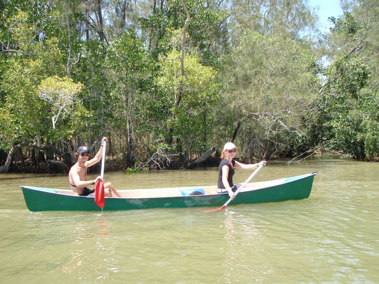 in den Noosa Everglades