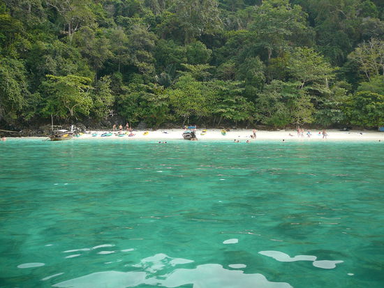 Monkey Beach