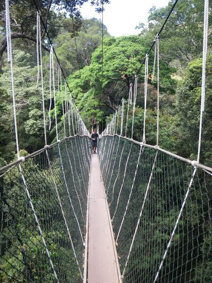 die längste Hängebrücke der Welt!