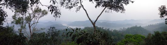 Blick vom Baumhaus ins Tal