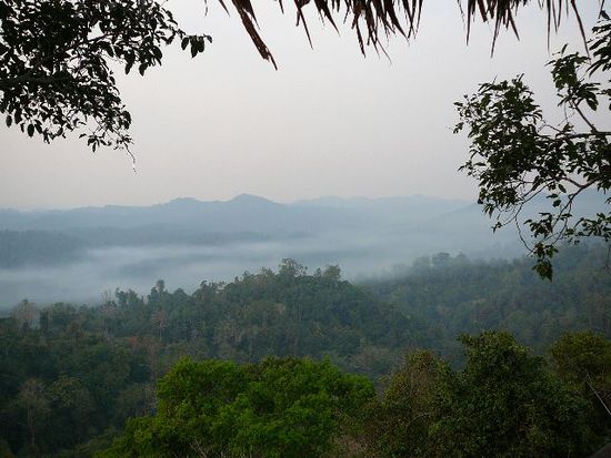 am Abend zieht der Nebel ins Tal