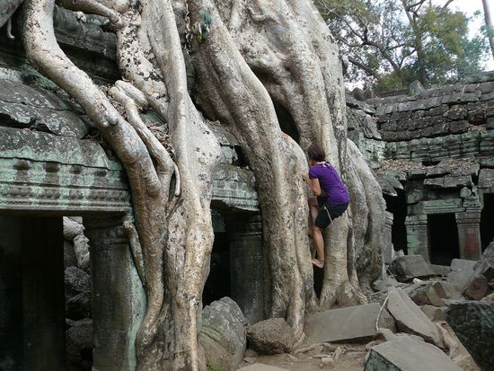 Elli beim Erklettern der riesigen Wurzeln