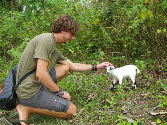 mein neuer kleiner Freund