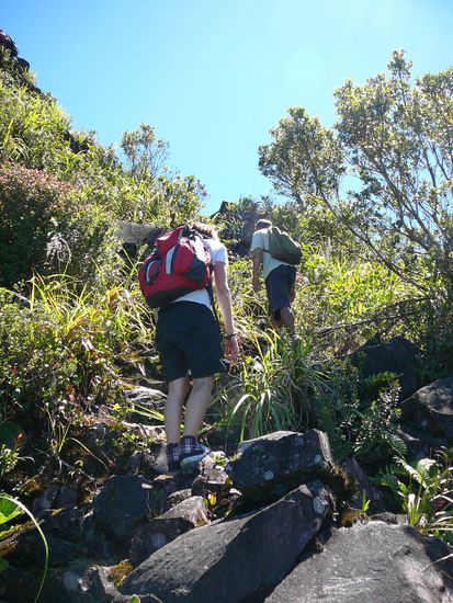 der Aufstieg zum Gipfel