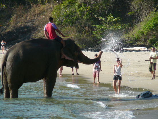 hatten ihren Spaß indem sie die Touristen bespritzten 