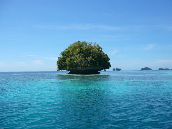 sieht aus wie ein Pilz