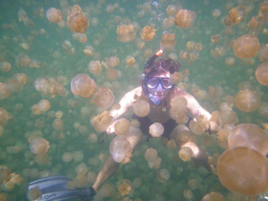 mittendrin statt nur dabei!