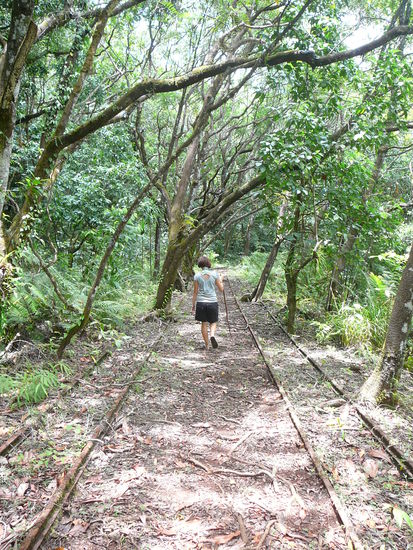 auf dem Weg zum Wasserfall - entlang alter überwucherten Eisenbahnschienen aus dem 2. Weltkrieg
