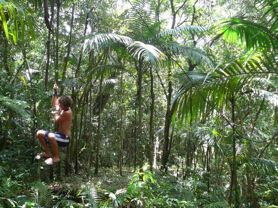 Tarzan-Style 