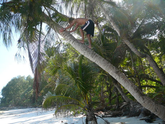 für frische Coconuts mach ich alles