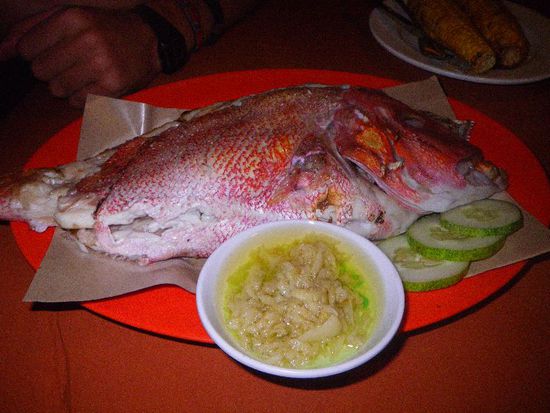 ein großer Red Snapper, mmmhhh!