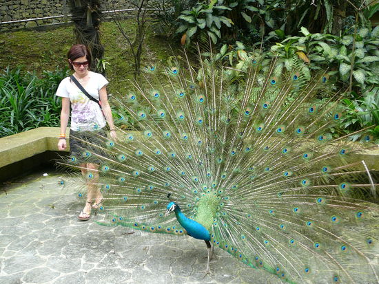 im Vogel-Zoo