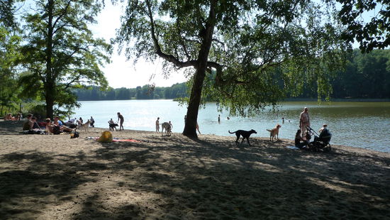Baden am Grunewaldsee, mindestens gleichviel Hunde wie Menschen, wirklich schoen hier.