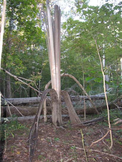 Mhh da war ja gar keine Banane drin 