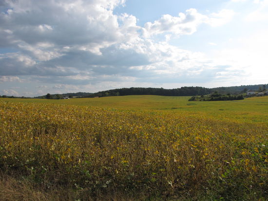 Auf dem Weg nach Damascus