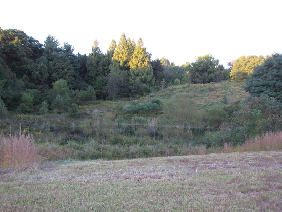 Kleiner See an meiner Joggingstrecke