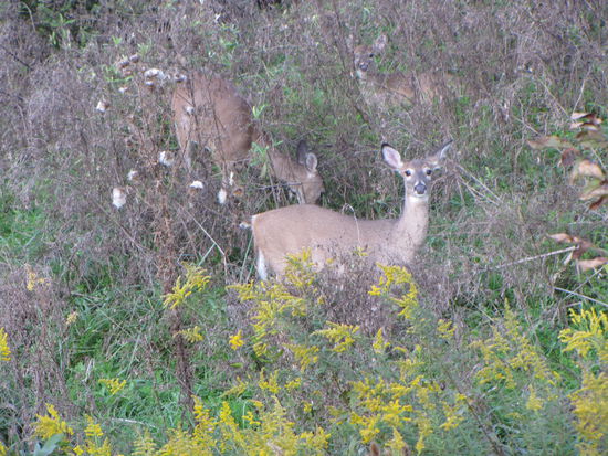 Man ist nie unbeobachtet