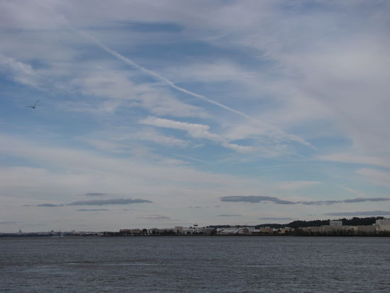 Blick auf Washington DC auf der anderen Seite des Potomac Rivers (hinten links befindet sich das Capitol)