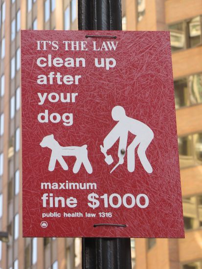 Die Strafe zeigt Wirkung, ich habe in ganz NY keinen einzigen Hundehaufen gesehen, selbst im Central Park nicht!