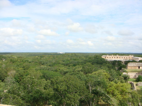 Rundherum aaalllles Gruen