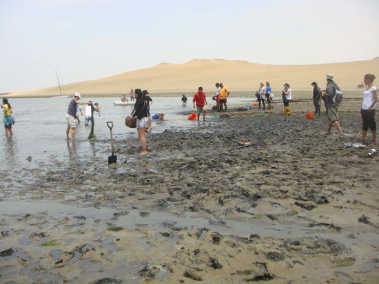 Eine schlammige Angelegenheit 