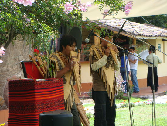 Unsere tolle Livemusik