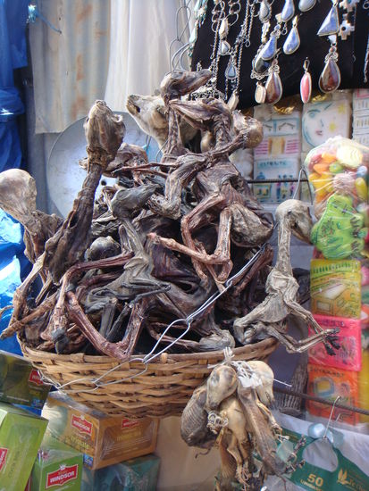 Auf dem Hexenmarkt in La Paz, wurden Lama- Embryos verkauft. Die Menschen glauben, es bringt Glueck, wenn man diese Embryos zum Beispiel bei einem Hausbau ind die Waende mit einmauert!!!
