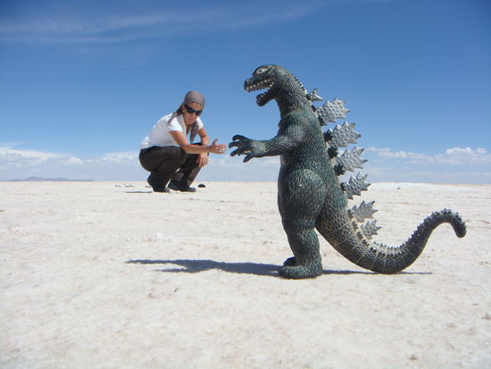 Auge in Auge mit einem Dinosaurier 