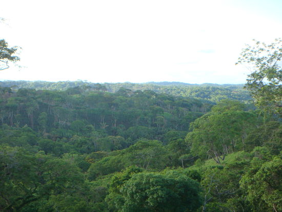 Alles grün rundherum...
