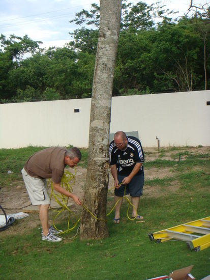 Am Weihnachtsschmuck befestigen...