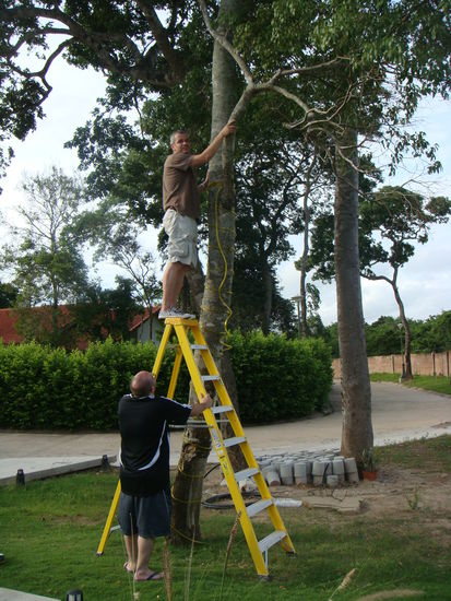 ... das war ja vielleicht amüsant 