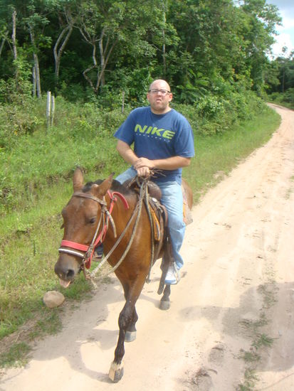...Rössli lauf galopp. Über Stock und über Stein...