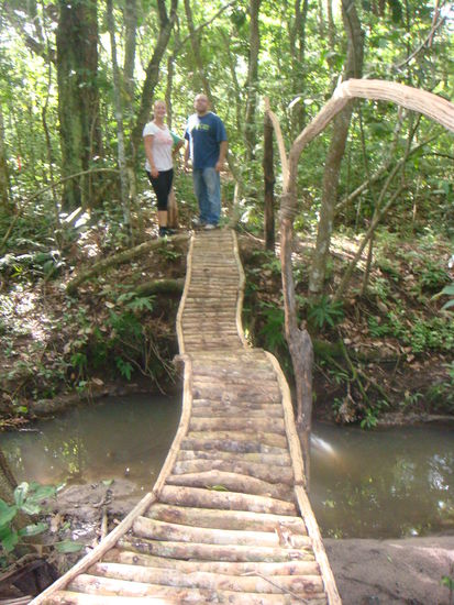 Spaziergang im Jungel