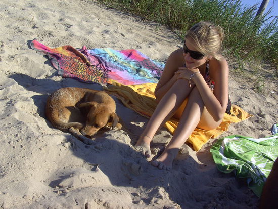 ...nur ein paar streunende Hunde kamen uns besuchen