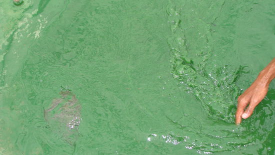 Und das soll gesund sein?