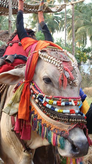 Eine Schoenheit, die man auf dem Flohmarkt bestaunen kann
(und vielleicht tanz sie auch mal fuer einen...)
