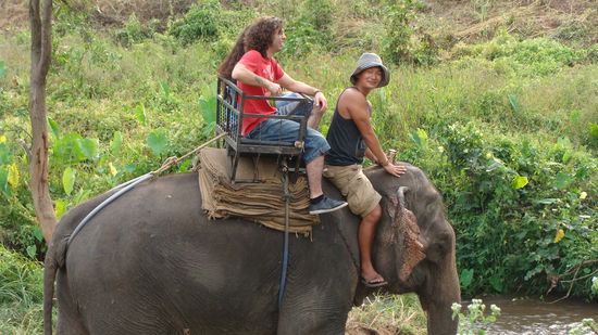 David fuert den Elefanten mit den zwei Spaniern