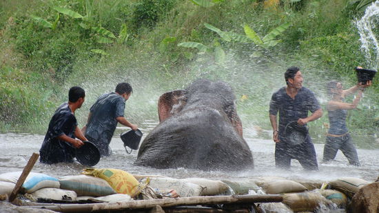 Volunteers bei ihrer Arbeit 