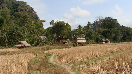 Ein tolles Ziel, was? 