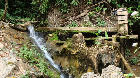 Die lokale Waschmaschiene- ratet mal, wie sie funktioniert! 