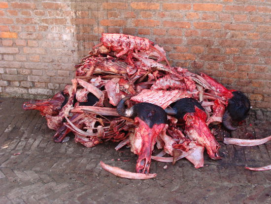 Tia... und wann gibt es zNacht?! 